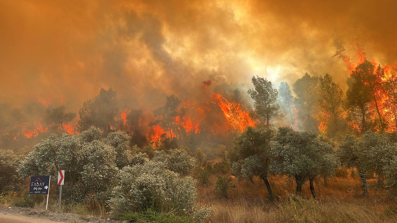 Bakan Yerlikaya’dan 5 farklı orman yangınına ilişkin açıklama!