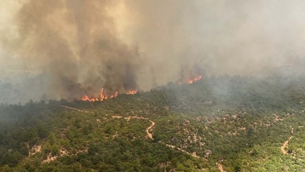 Çanakkale’de şimdi de tarihi yarımada yanıyor!