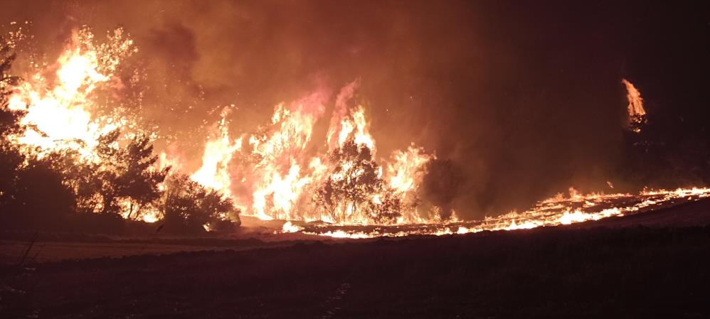 Çanakkale’deki orman yangını evlere sıçradı…