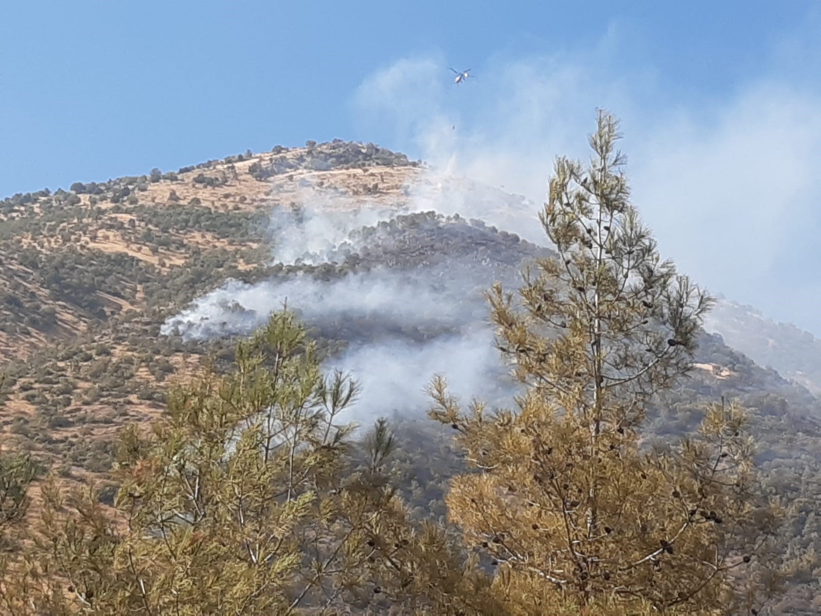 Kahramanmaraş’ta orman yangını çıktı ekipler müdahale ediyor