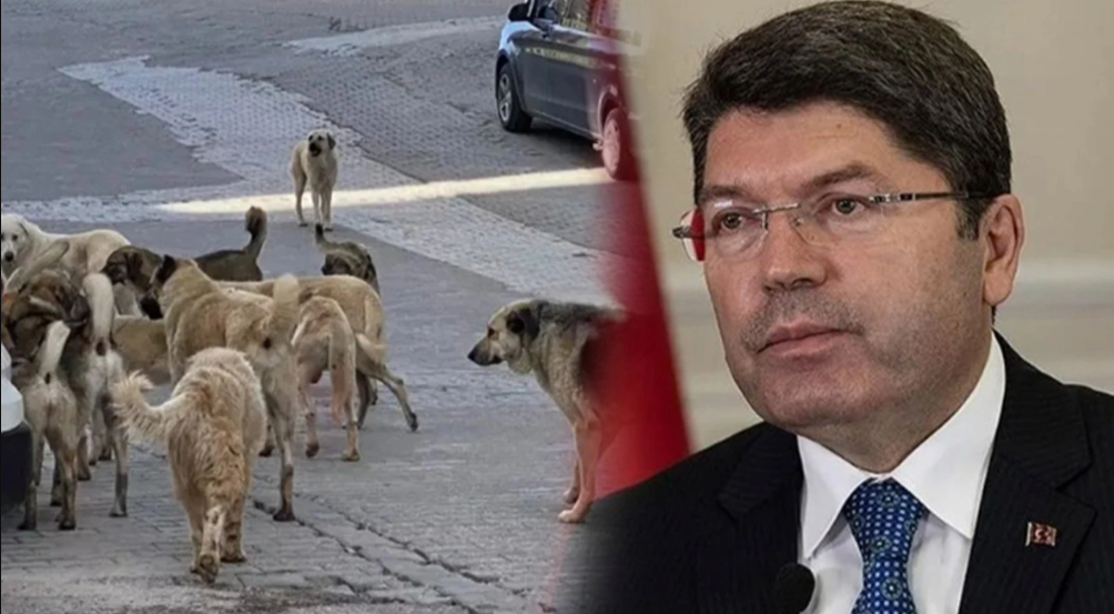 Taslak Meclis’te! Adalet Bakanı Tunç’tan sokak hayvanları açıklaması…
