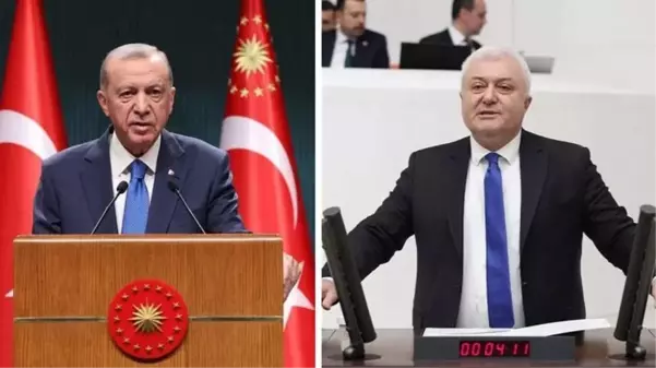 Cumhurbaşkanı Erdoğan’dan CHP’li Özkan’a 250 bin TL’lik tazminat davası!