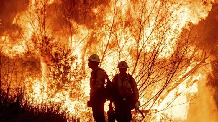 Elektrik kulesinden felakete! Los Angeles’ta yangın nasıl çıktı?