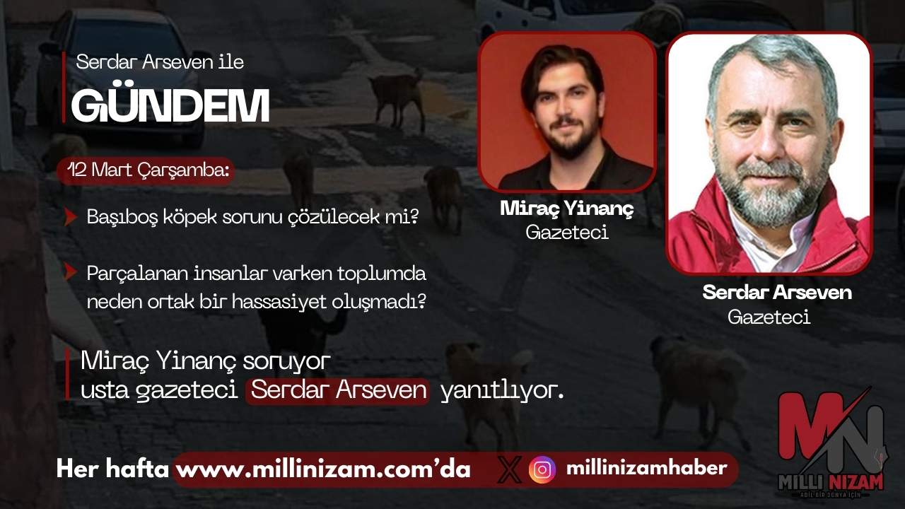 Serdar Arseven ile Gündem: Siyaset Başıboş Köpek Sorununa Çözüm Üretebilecek mi?